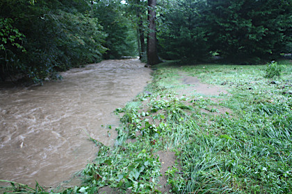 Creek bank after the flood of 2021.