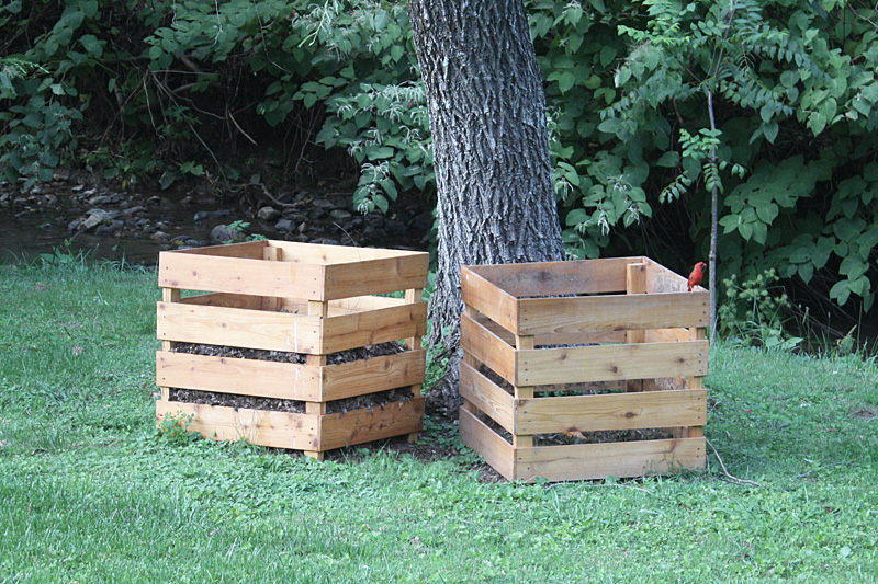 Male Cardinal on compost bins.