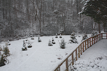 Compost bins in transition